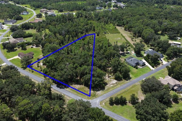8541 WOODLEAF BOULEVARD, Wesley Chapel, FL 33544