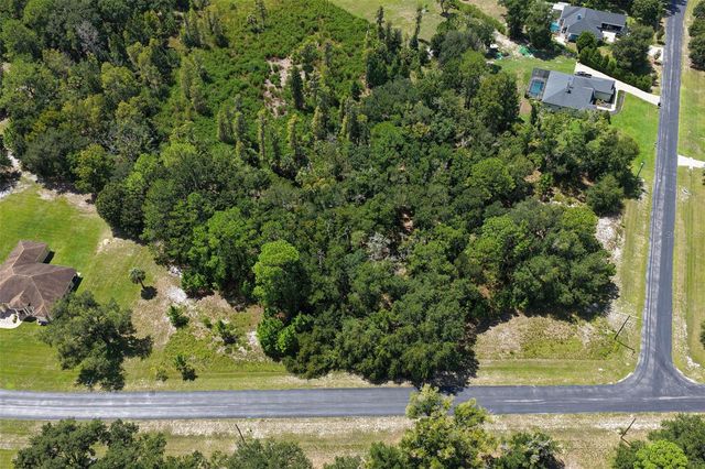 8541 WOODLEAF BOULEVARD, Wesley Chapel, FL 33544
