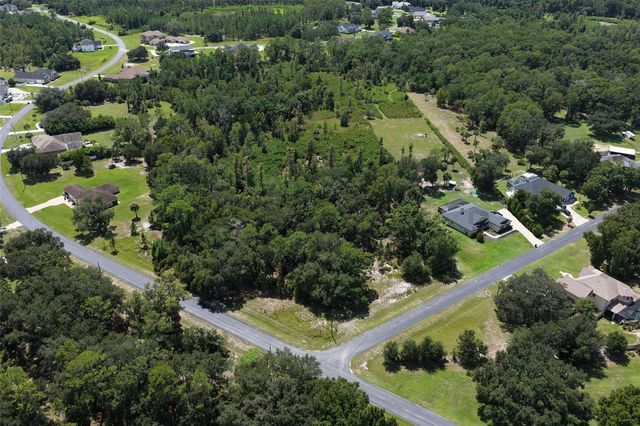8541 WOODLEAF BOULEVARD, Wesley Chapel, FL 33544