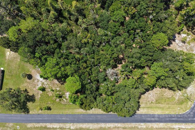 8541 WOODLEAF BOULEVARD, Wesley Chapel, FL 33544