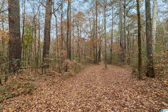 2320 MONTEVALLO ROAD, Leeds, AL 35094