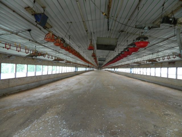 428 County Road 522, Berryville, AR 72616