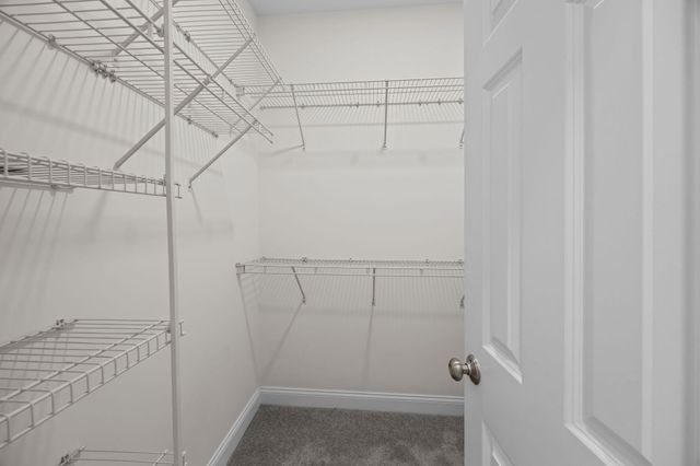 8557 Refuge Point Circle, North Charleston, SC 29420