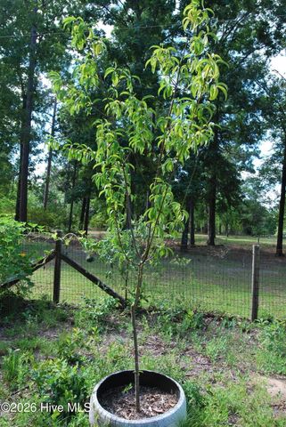 4306 Seago Road, Hephzibah, GA 30815