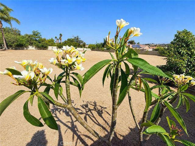 18437 Newman Avenue, Riverside, CA 92508