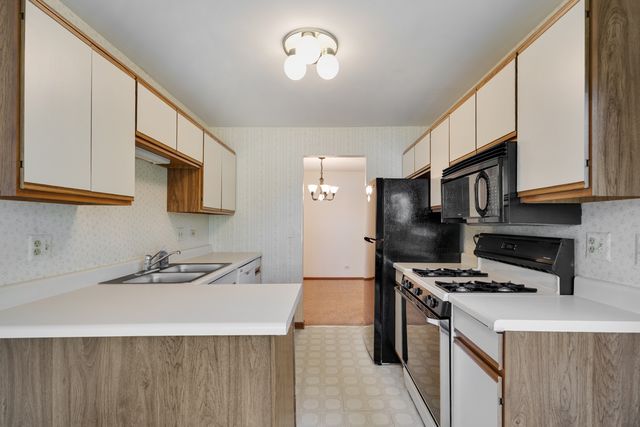 201 charleston Court 3, Schaumburg, IL 60193
