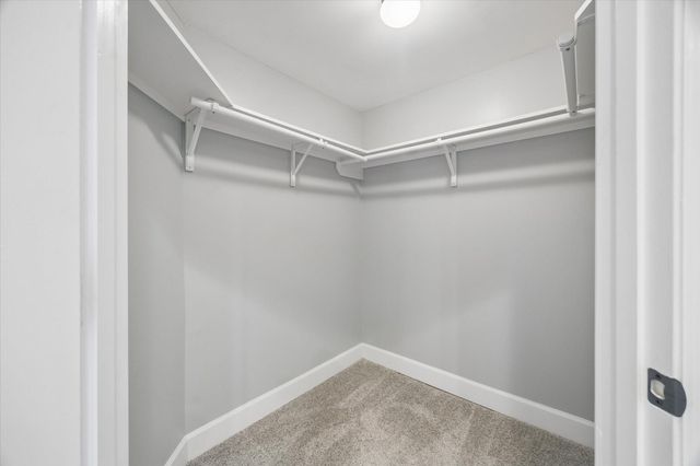 2203 Dorrington Street Street 205, Houston, TX 77030