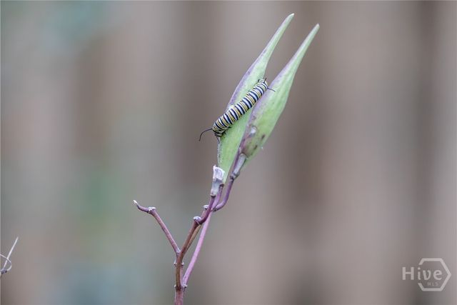 385 Timberland Circle, Richmond Hill, GA 31324