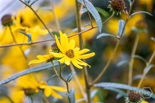 385 Timberland Circle, Richmond Hill, GA 31324