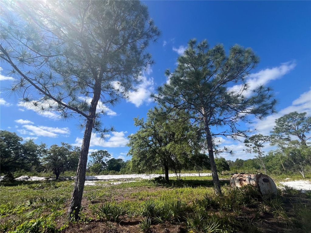 Image 1 of property listing at FAZZINI DRIVE, Frostproof, FL 33843
