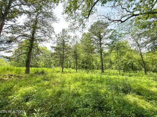Lot 38 and 39 Black Oak Drive, Oak Ridge, TN 37830