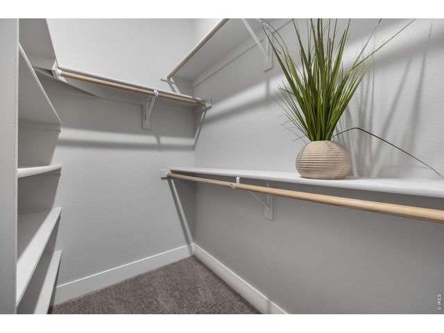 5912 Boston Ct, Denver, CO 80238