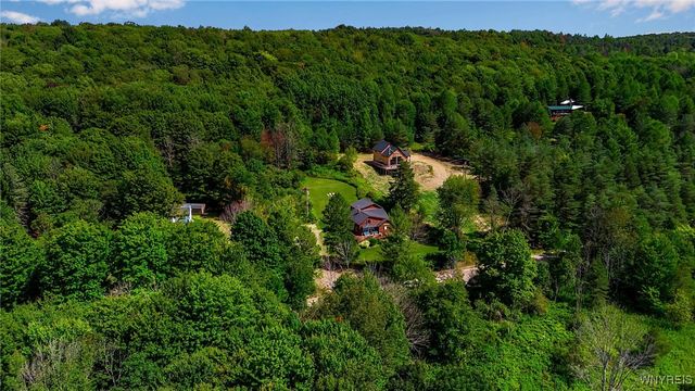 7262 Poverty Hill Road, Ellicottville, NY 14731