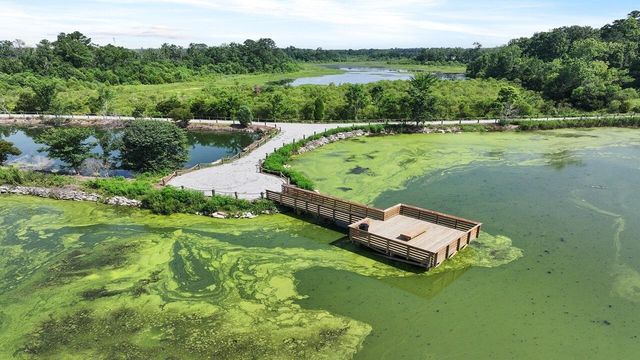 716 Butterfly Ginger Street, Moncks Corner, SC 29461