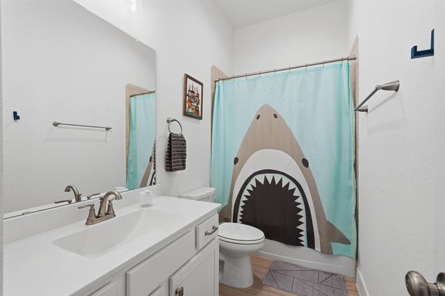 17907 Purple Amaranth, Conroe, TX 77385