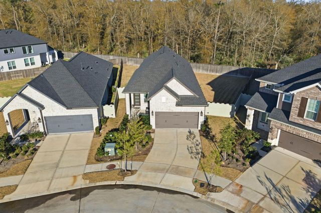 17907 Purple Amaranth, Conroe, TX 77385