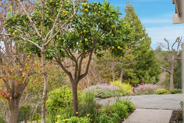 27769 Edgerton Road, Los Altos Hills, CA 94022