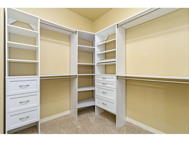 885 Shirttail Peak Dr, Windsor, CO 80550