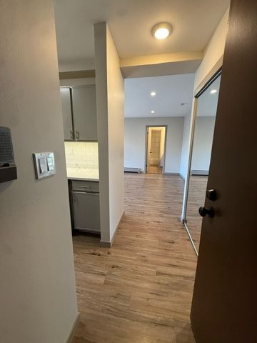 1813 Hemlock Place 311, Schaumburg, IL 60173