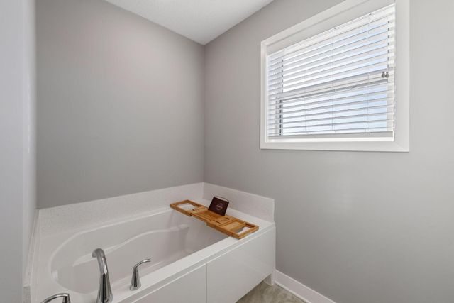 1353 Chestnut Circle, Carver, MN 55315