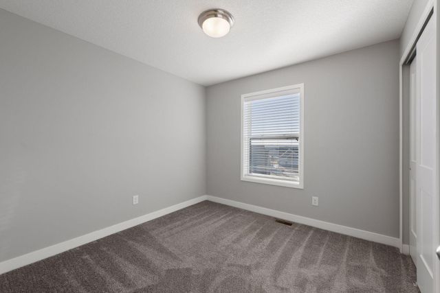 1353 Chestnut Circle, Carver, MN 55315