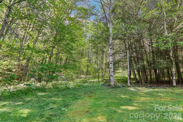 129 Cash Phillips Drive, Mars Hill, NC 28754