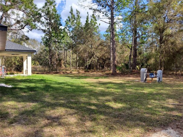 12 GUAVA TERRACE RADIAL, Ocklawaha, FL 32179