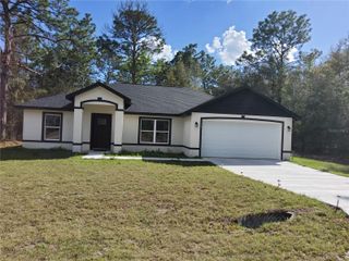 12 GUAVA TERRACE RADIAL, Ocklawaha, FL 32179