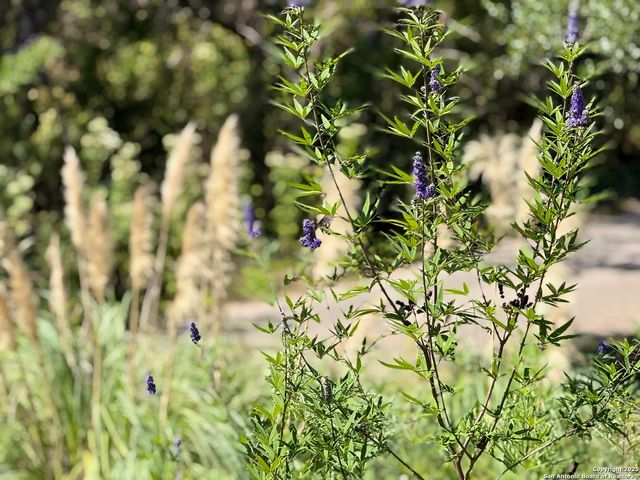 204 Aqua Vista, Kerrville, TX 78028