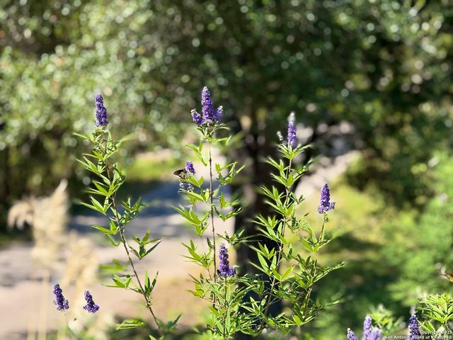 204 Aqua Vista, Kerrville, TX 78028