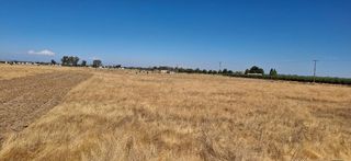 23333 Avenue 19 1/2, Madera, CA 93638