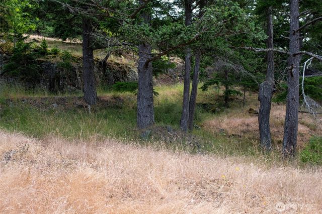 245 Veneda Trail, Orcas Island, WA 98245