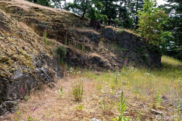 245 Veneda Trail, Orcas Island, WA 98245