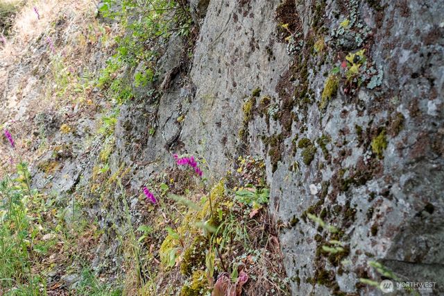 245 Veneda Trail, Orcas Island, WA 98245