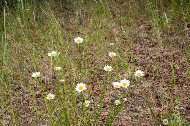 245 Veneda Trail, Orcas Island, WA 98245