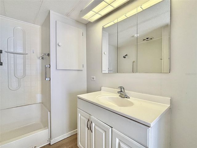 7028 MOUNT JUPITER DRIVE NE 601, St Petersburg, FL 33702