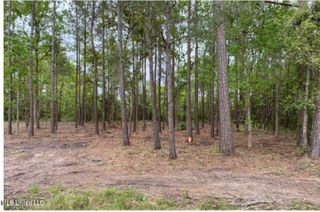Lot 44 Basswood Drive, Pass Christian, MS 39571