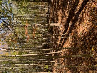 17+ac T.C. Walker Rd (Off of). Rt. 629 LN, Gloucester, VA 23061