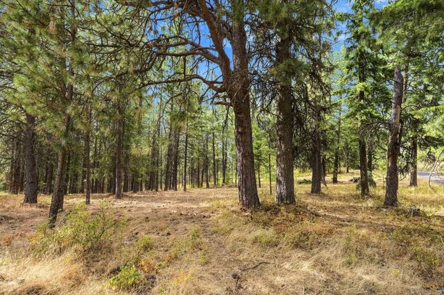 NKA S Park Ln, Spokane, WA 99223