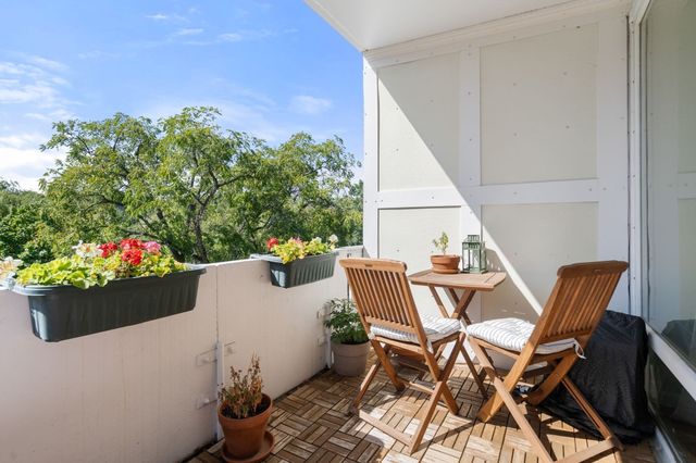 100 Marion St 47, Brookline, MA 02446