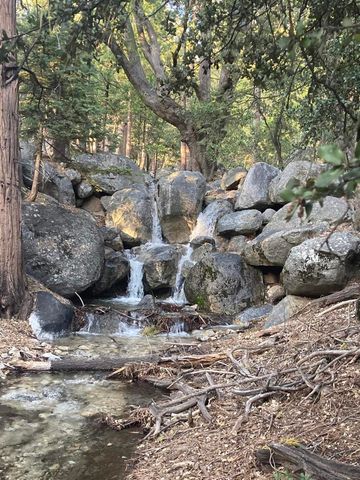 24655 Upper Rim Rock Road, Idyllwild, CA 92549