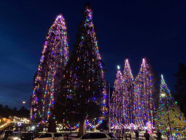 24655 Upper Rim Rock Road, Idyllwild, CA 92549