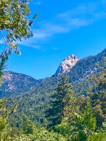 24655 Upper Rim Rock Road, Idyllwild, CA 92549
