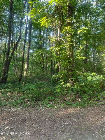 Running Deer, Crab Orchard, TN 37723