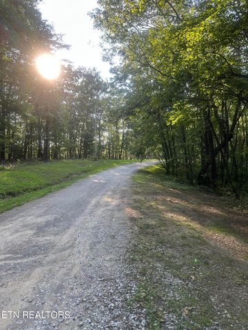 Running Deer, Crab Orchard, TN 37723