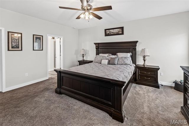 3938 Narrow Leaf Lane, Swansea, IL 62226