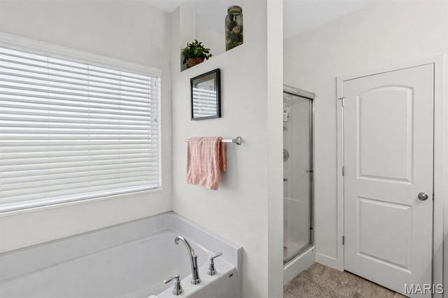 3938 Narrow Leaf Lane, Swansea, IL 62226