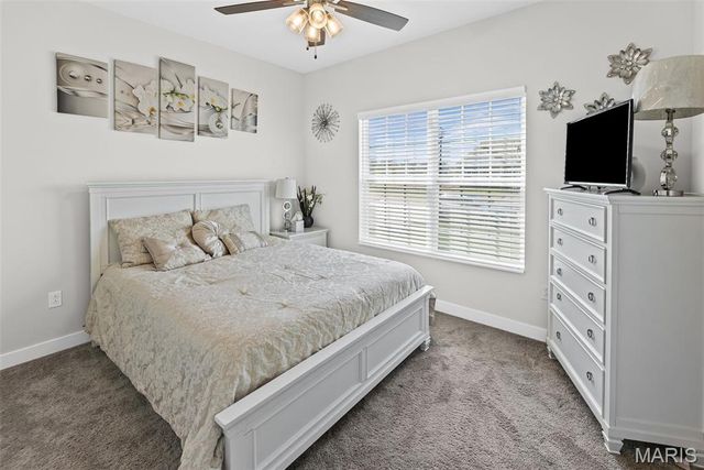 3938 Narrow Leaf Lane, Swansea, IL 62226