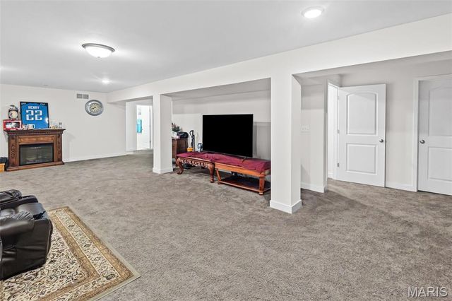 3938 Narrow Leaf Lane, Swansea, IL 62226