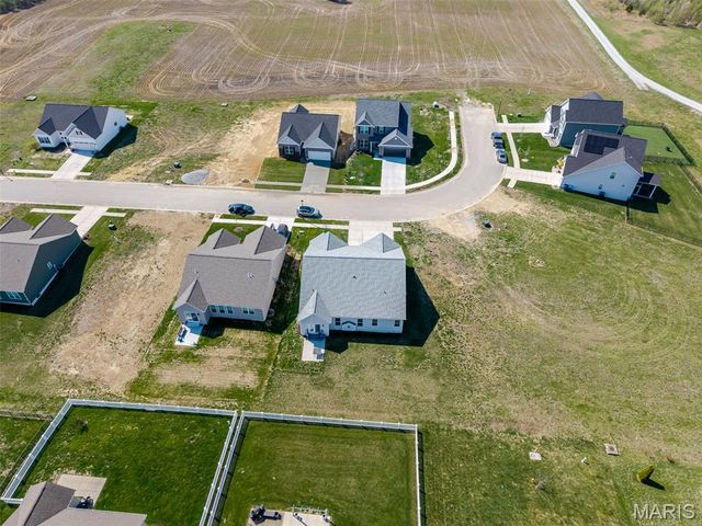 3938 Narrow Leaf Lane, Swansea, IL 62226